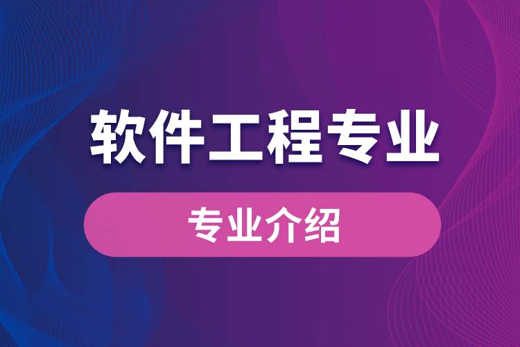 軟件設計與開發 從需求到創新的工程實踐